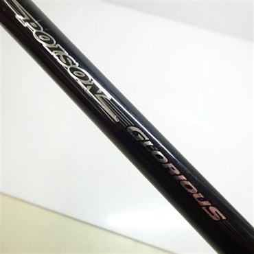 １１ポイズングロリアス１７２Ｈ